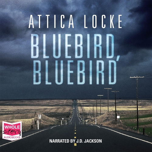Аудіокнига «Bluebird, Bluebird», автор Аттіка Лок - фото №1