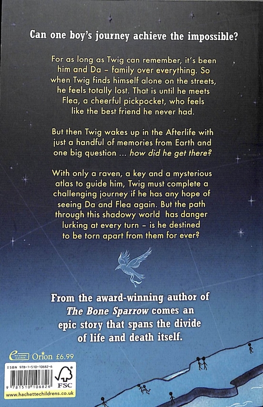 Бумажная книга «The Lost Soul Atlas», автор Зана Фрейлон - фото №1