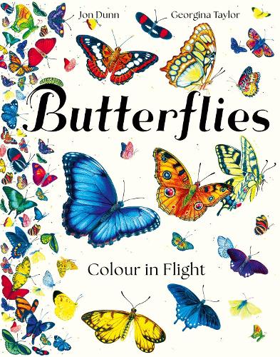 Паперова книга «Butterflies: Colour in Flight», автор Джон Данн - фото №1