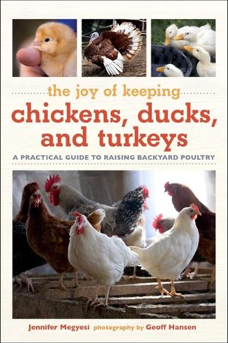 Бумажная книга «Joy of Keeping Chickens, Ducks, and Turkeys: A Practical Guide to Raising Backyard Poultry», автор Дженнифер Мегеси - фото №1