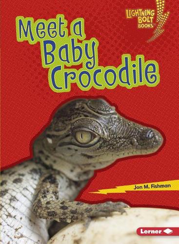 Бумажная книга «Meet a Baby Crocodile», автор Джон Фишман - фото №1