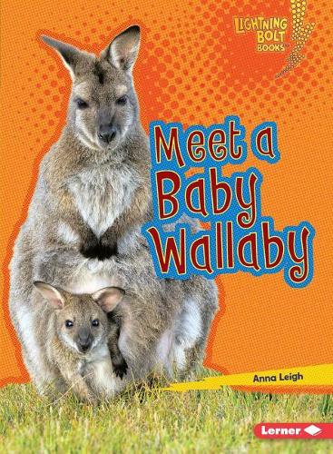 Бумажная книга «Meet a Baby Wallaby», автор Анна Ли - фото №1