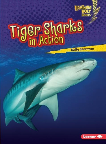 Бумажная книга «Tiger Sharks in Action», автор Баффи Сильверман - фото №1