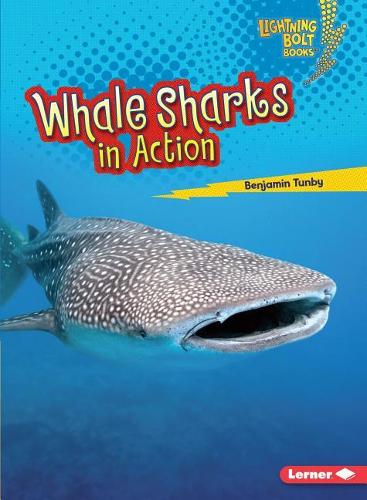 Бумажная книга «Whale Sharks in Action», автор Бенджамин Танби - фото №1
