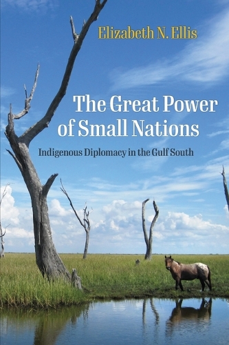 Бумажная книга «The Great Power of Small Nations: Indigenous Diplomacy in the Gulf South», автор Элизабет Н. Эллис - фото №1
