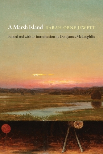 Паперова книга «A Marsh Island», автор Сара Орн Джеветт - фото №1