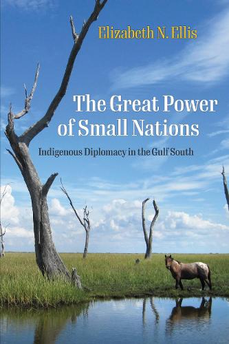 Бумажная книга «The Great Power of Small Nations: Indigenous Diplomacy in the Gulf South», автор Элизабет Н. Эллис - фото №1