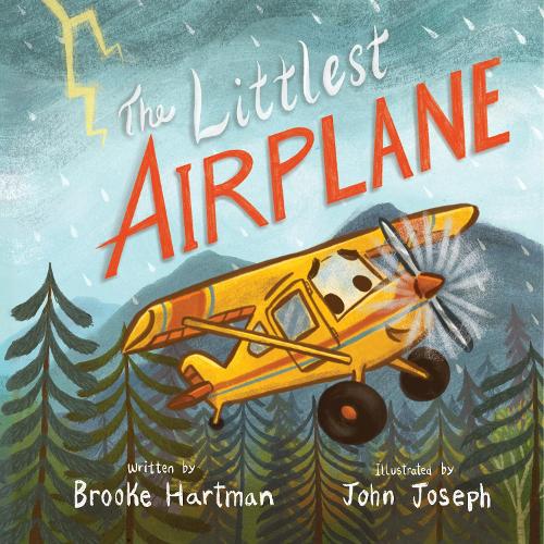 Бумажная книга «The Littlest Airplane», автор Брук Хартман - фото №1