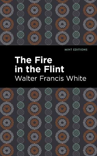 Бумажная книга «The Fire in the Flint», автор Уолтер Фрэнсис Уайт - фото №1