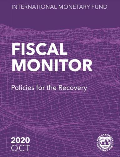 Паперова книга «Fiscal monitor: policies for the recovery», автор Міжнародний Валютний Фонд - фото №1