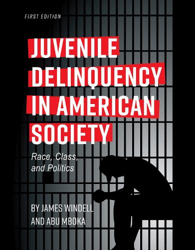 Паперова книга «Juvenile Delinquency in American Society: Race, Class, and Politics», авторів Абу Мбока, Джеймс Вінделл - фото №1