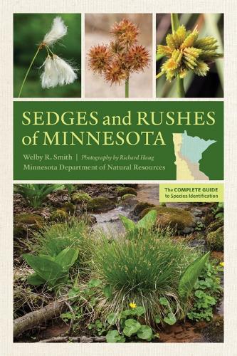 Паперова книга «Sedges and Rushes of Minnesota: The Complete Guide to Species Identification», автор Велбі Р. Сміт - фото №1