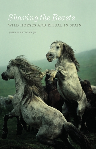 Бумажная книга «Shaving the Beasts: Wild Horses and Ritual in Spain», автор Джон Хартиган-младший - фото №1