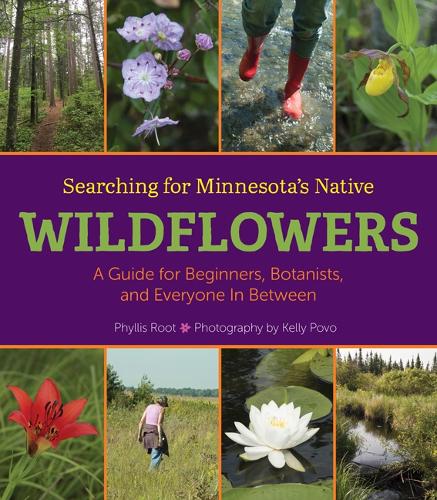 Бумажная книга «Searching for Minnesota's Native Wildflowers: A Guide for Beginners, Botanists, and Everyone in Between», автор Филлис Рот - фото №1
