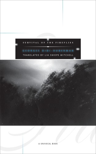 Бумажная книга «Survival of the Fireflies», автор Жорж Диди-Губерман - фото №1