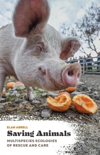 Бумажная книга «Saving Animals: Multispecies Ecologies of Rescue and Care», автор Элан Абрелл - фото №1