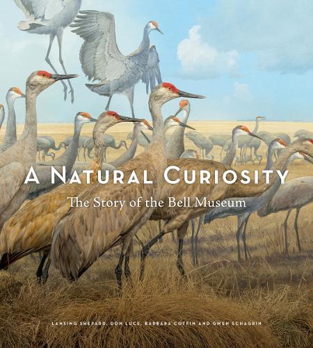 Бумажная книга «A Natural Curiosity: The Story of the Bell Museum», авторов Барбара Коффин, Дон Люс, Гвен Шагрин, Лансинг Шепард - фото №1