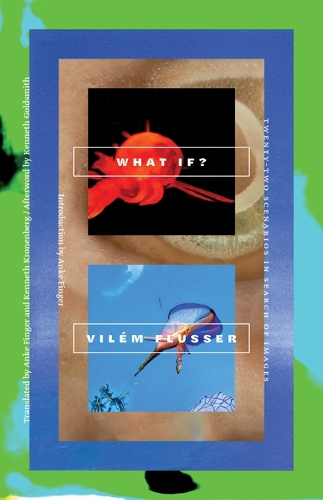 Бумажная книга «What If?: Twenty-Two Scenarios in Search of Images», автор Вилем Флюссер - фото №1