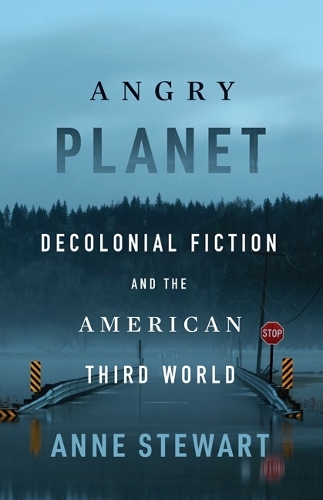 Бумажная книга «Angry Planet: Decolonial Fiction and the American Third World», автор Энн Стюарт - фото №1