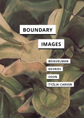 Бумажная книга «Boundary Images», авторов Жизель Бейгельман, Магдалена Тызлик-Карвер, Мелоди Деврис, Винни Сун - фото №1