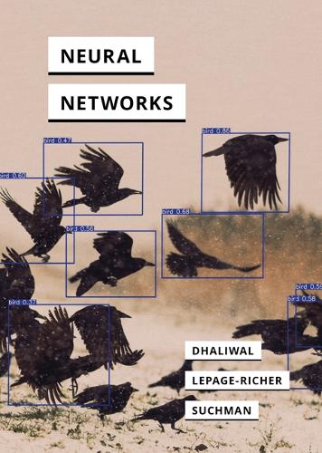 [object Object] «Neural Networks», авторов Люси Сукман, Ранджод Сингх Дхаливал, Тео Лепаж-Ришер - фото №1