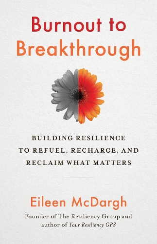 Бумажная книга «Burnout to Breakthrough», автор Эйлин МакДарг - фото №1