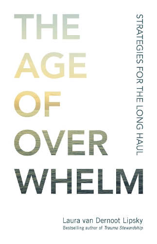 Бумажная книга «The Age of Overwhelm: Strategies for the Long Haul», автор Лаура Ван Дернут Липски - фото №1