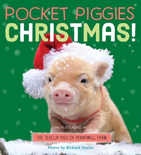 Бумажная книга «Pocket Piggies: Christmas!», автор Ричард Остин - фото №1