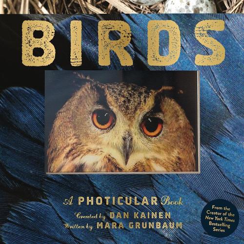 Паперова книга «Birds: A Photicular Book», авторів Ден Кайнен, Мара Грюнбаум - фото №1