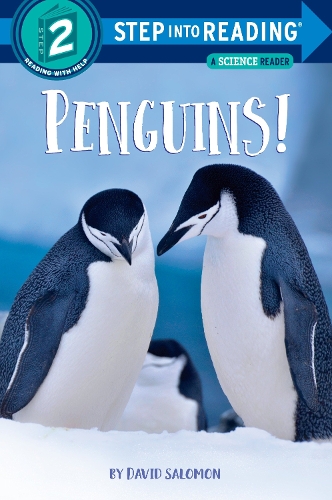 Бумажная книга «Penguins!», автор Дэвид Саломон - фото №1