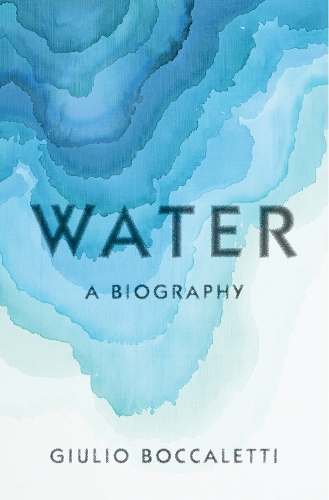 Бумажная книга «Water: A Biography», автор Джулио Боккалетти - фото №1
