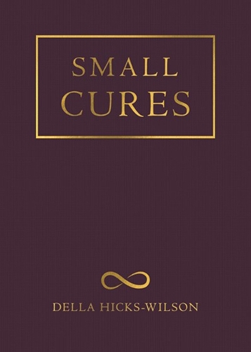 Бумажная книга «Small Cures», автор Делла Хикс-Уилсон - фото №1