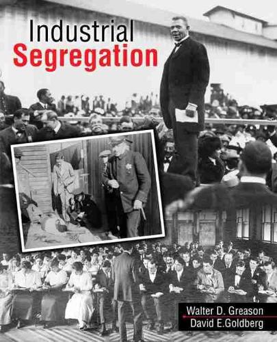 Паперова книга «Industrial Segregation», авторів Девід Голдберг, Волтер Грісон - фото №1