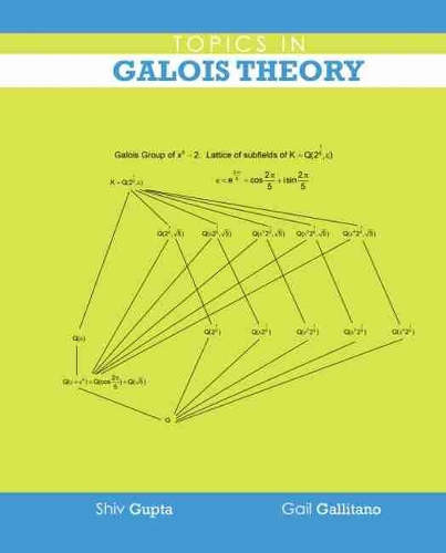 Бумажная книга «Topics in Galois Theory», авторов Гейл Галлитано, Шив Гупта - фото №1