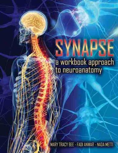 Бумажная книга «Synapse: A Workbook Approach to Neuroanatomy», авторов Фади Анвар, Мэри Трейси Би, Нада Метти - фото №1