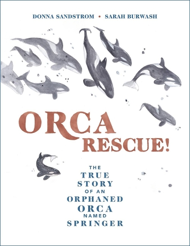 Бумажная книга «Orca Rescue!: The True Story of an Orphaned Orca Named Springer», автор Донна Сэндстром - фото №1