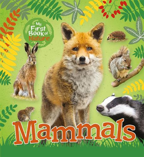 Бумажная книга «My First Book of Nature: Mammals», автор Виктория Мансон - фото №1