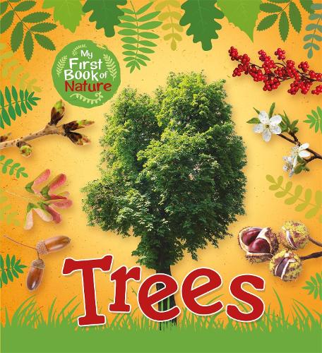 Бумажная книга «My First Book of Nature: Trees», автор Виктория Мансон - фото №1