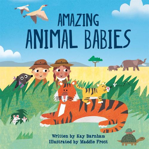 Бумажная книга «Look and Wonder: Amazing Animal Babies», автор Кей Барнем - фото №1