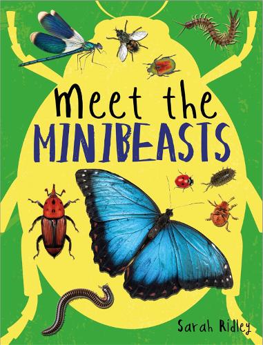 Бумажная книга «Meet the Minibeasts», автор Сара Ридли - фото №1
