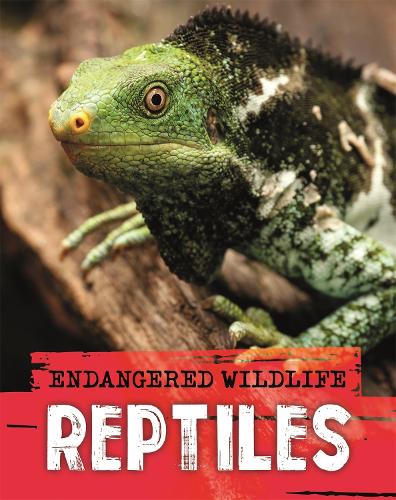 Бумажная книга «Endangered Wildlife: Rescuing Reptiles», автор Анита Ганери - фото №1