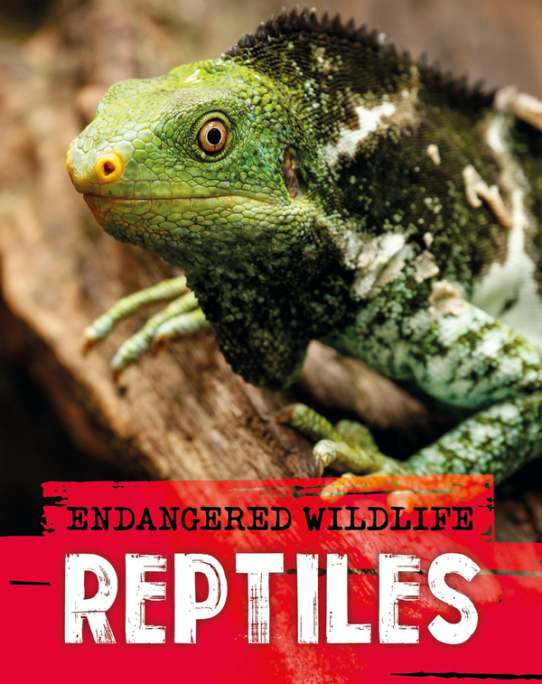 Бумажная книга «Endangered Wildlife. Rescuing Reptiles», автор Анита Ганери - фото №1