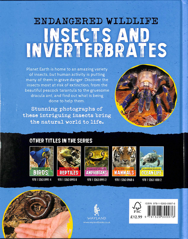 Паперова книга «Endangered Wildlife. Rescuing Insects and Invertebrates», автор Аніта Ганері - фото №1