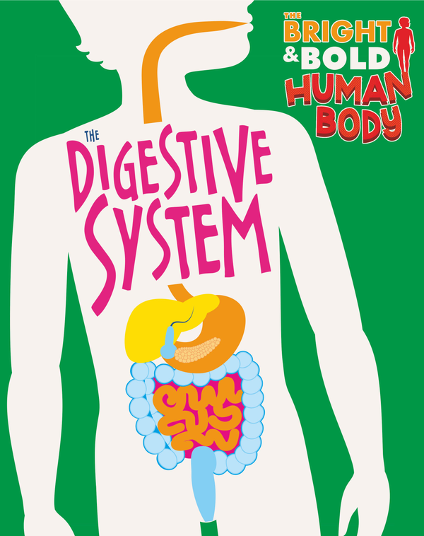 Бумажная книга «The Digestive System», автор Иззи Хауэлл - фото №1