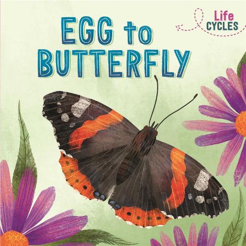 Паперова книга «Life Cycles: Egg to Butterfly», автор Рейчел Тонкін - фото №1