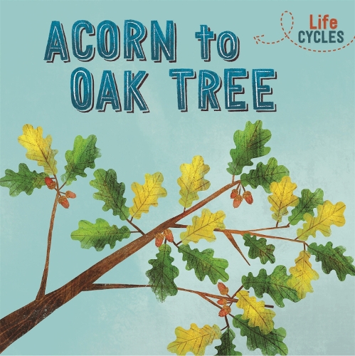 [object Object] «Life Cycles: Acorn to Oak Tree», автор Рэйчел Тонкин - фото №1