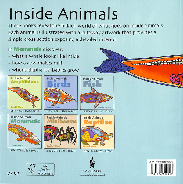 Паперова книга «Inside Animals. Mammals», автор Девід Уест - фото №1