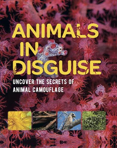 Бумажная книга «Animals in Disguise», автор Майкл Брайт - фото №1