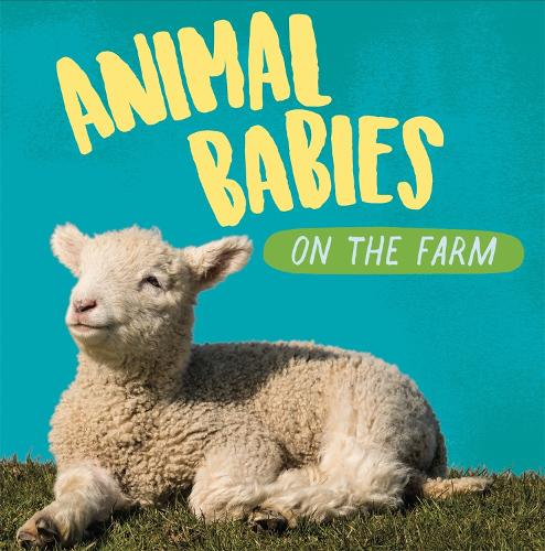 Бумажная книга «Animal Babies: On the Farm», автор Сара Ридли - фото №1