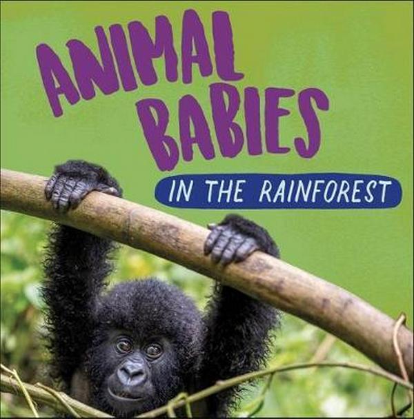 Паперова книга «Rainforest Babies», автор Сара Рідлі - фото №1